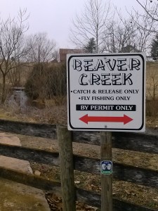 Beaver Creek Flyfishing