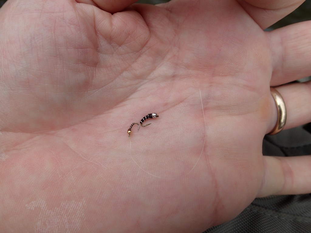 Flyfishing midges Gunpowder falls