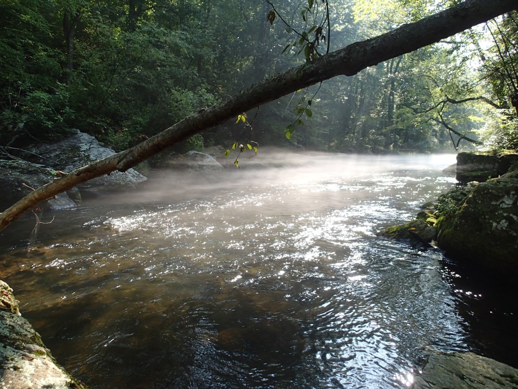 Flyfishing Gunpowder falls Maryland