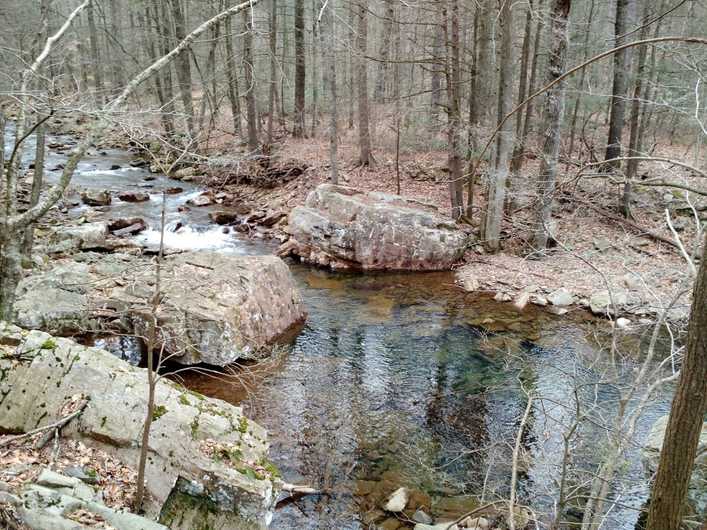 Flyfishing Black Run VA