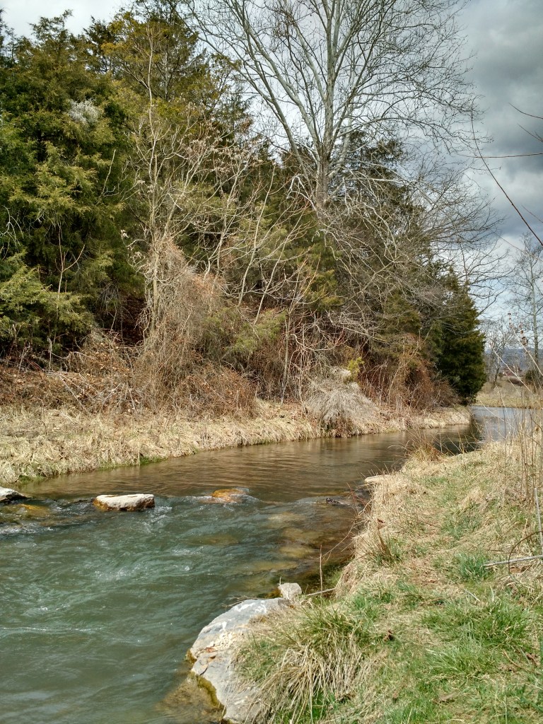 Flyfishing Beaver Creek Virginia